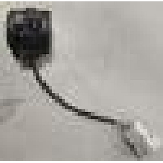 Modul control stanga