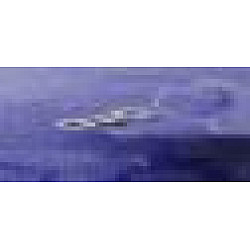 Placute aripa suprapuse