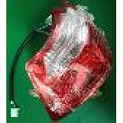 Semnalizare dreapta spate Semnalizare dreapta spate