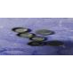 Pp parte M Long Pp parte M Long