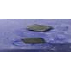 Pp parte N Long Pp parte N Long