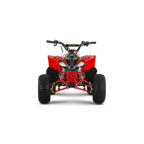 ATV de copii RDB-AZ110, 110cc, 4 Timpi ATV de copii RDB-AZ110, 110cc, 4 Timpi