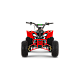 ATV de copii RDB-AZ110, 110cc, 4 Timpi ATV de copii RDB-AZ110, 110cc, 4 Timpi