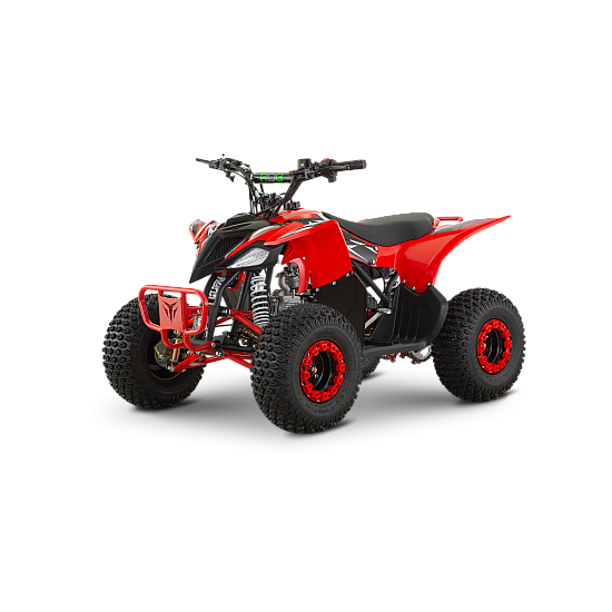 ATV de copii RDB-AZ110, 110cc, 4 Timpi ATV de copii RDB-AZ110, 110cc, 4 Timpi