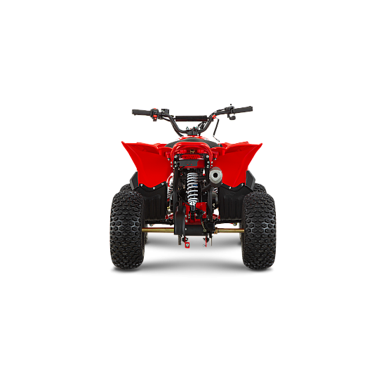 ATV de copii RDB-AZ110, 110cc, 4 Timpi ATV de copii RDB-AZ110, 110cc, 4 Timpi