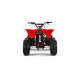 ATV de copii RDB-AZ110, 110cc, 4 Timpi ATV de copii RDB-AZ110, 110cc, 4 Timpi